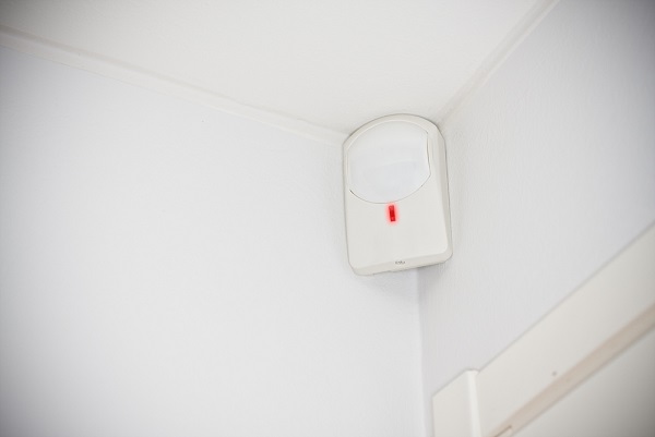 motion_detector